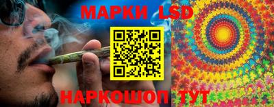 дмт Пенза