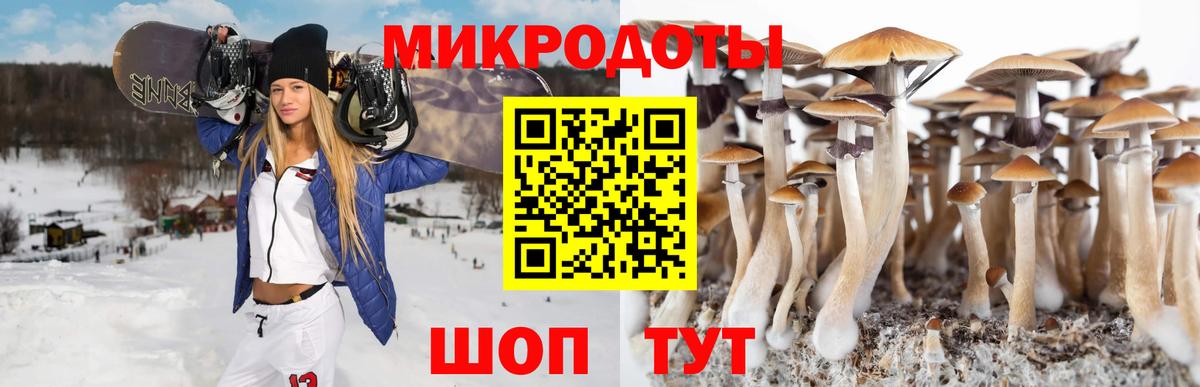 Петрозаводск  Галлюциногенные грибы мицелий  Галлюциногенные грибы Magic Shrooms  Вход с VPN 